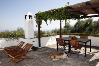Vigne di Salamina - Trullo Monte Zuzzu - terrace