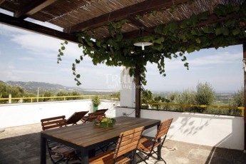 Vigne di Salamina - Trullo Monte Zuzzu - terrace